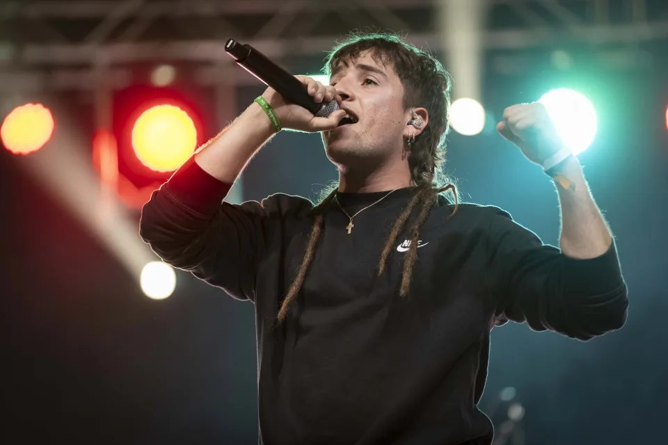 Fotografía de Sanguijuelas en concierto