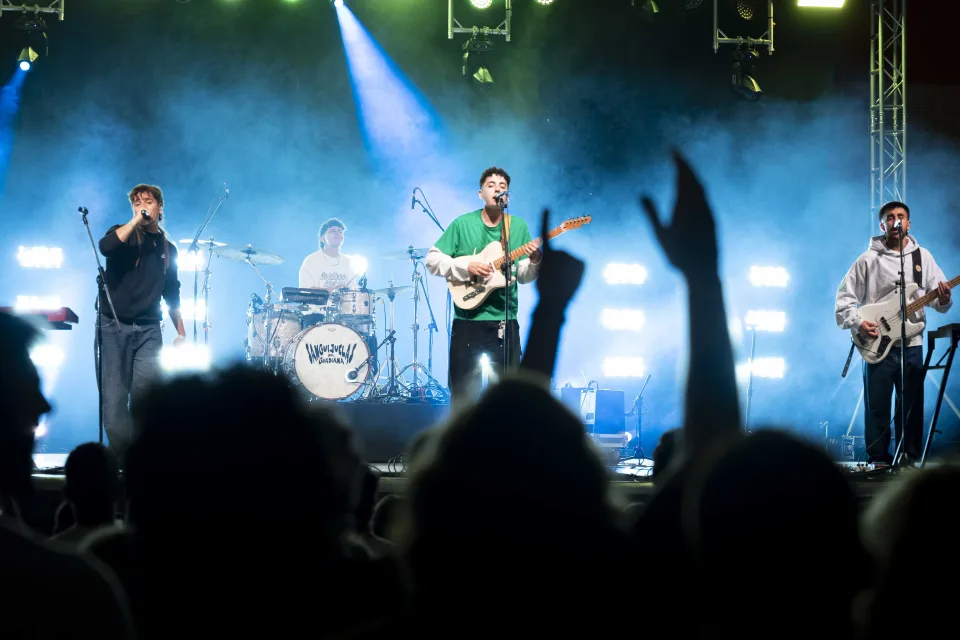 Fotografía de Sanguijuelas en concierto