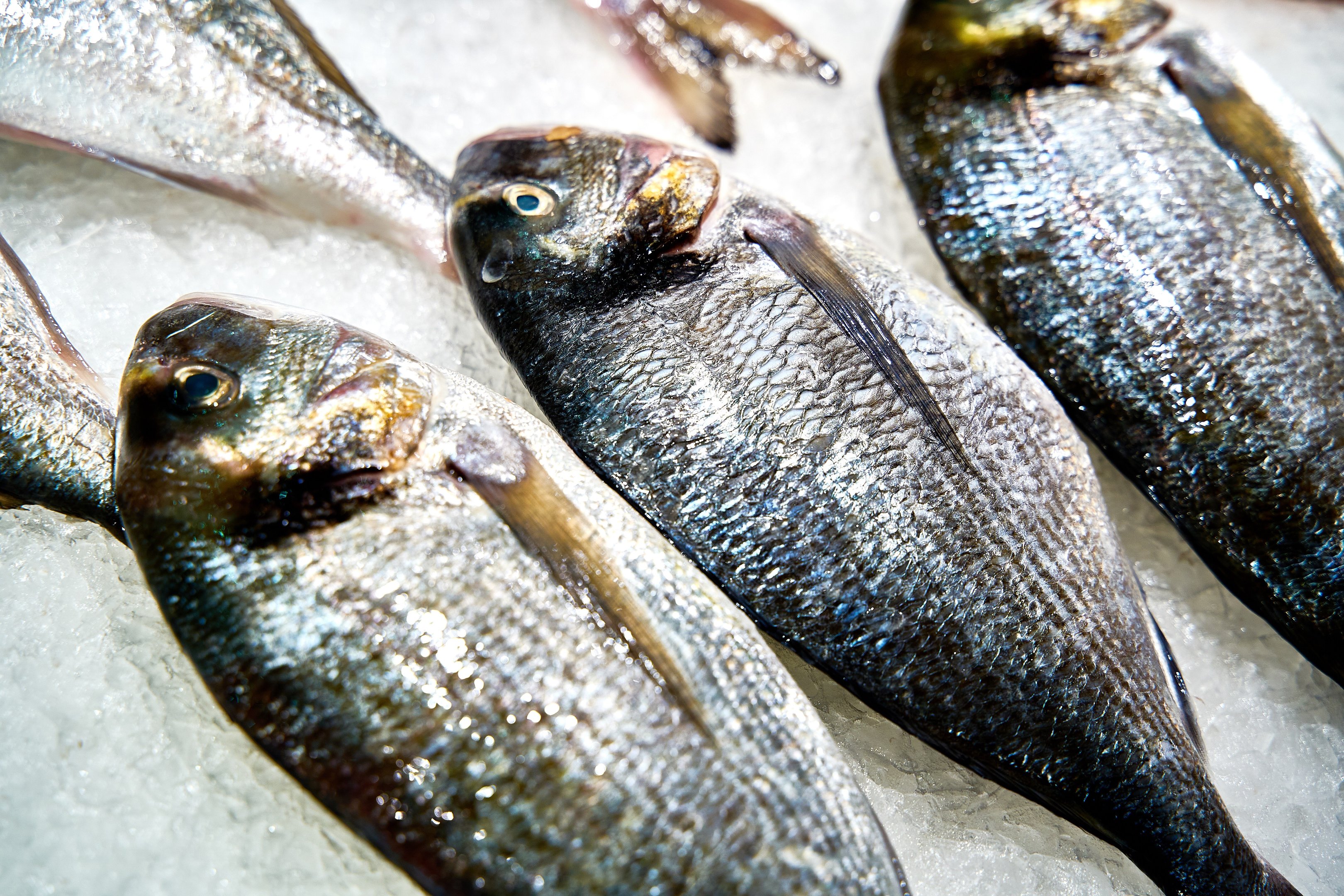 Fotografía de producto para empresas en Zaragoza - imagen 6